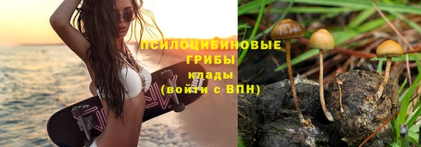 бутират Белокуриха